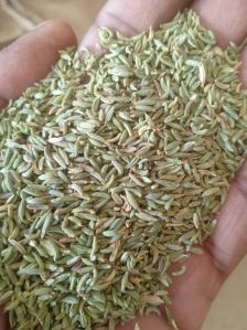 Fennel Seeds