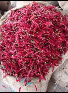 Dry Red Chilli