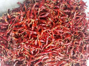 Dry Red Chilli