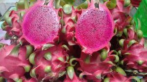 Dragon fruit