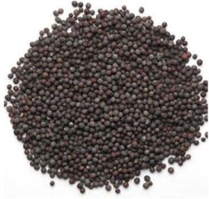 Black Mustard Seeds