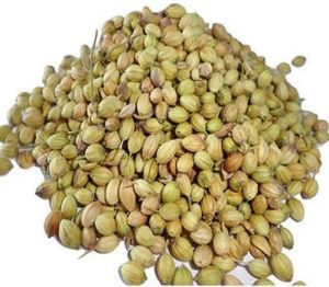 Coriander Seeds