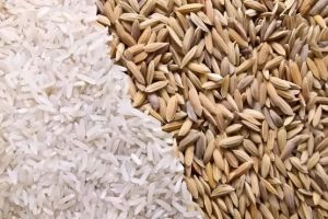 Basmati rice