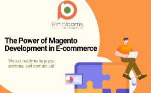 magento ecommerce development services