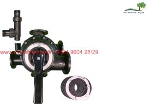 65 NB Flange Softener Manual Multiport Valve