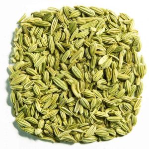 Green Natural Fennel Seeds