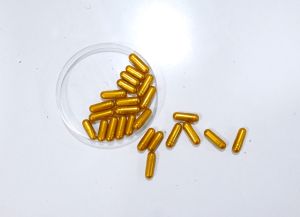 Cordyceps Capsules 60 Capsule Per Bottle 500mg