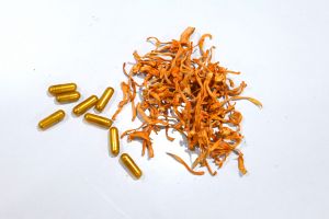Cordyceps Capsules 60 Capsule Per Bottle 500mg