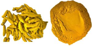 Turmeric Powder