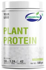 Plant Protein