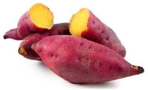 Fresh Sweet Potato
