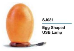 Egg Shaped Mini USB Salt Lamps