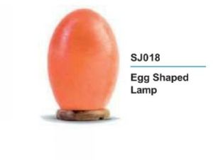 Egg Shaped Rock Salt Lamp