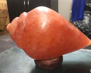 Shankh Shape Rock Salt Lamp