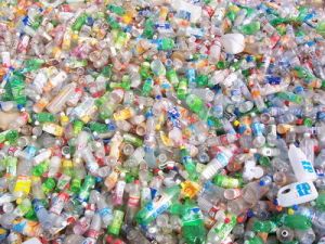 Pet Bottle Scrap for Recycling