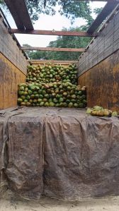 Tender Coconut Water