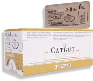 4241 chromic catgut suture