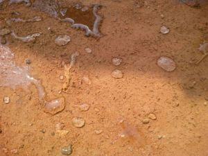 XL-Terrasoil Soil Waterproofing & Modifier