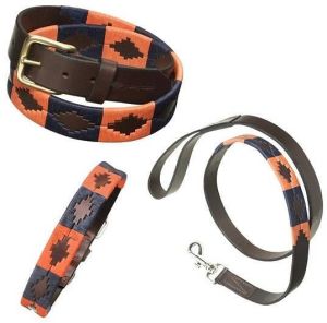 Dog collars with lead