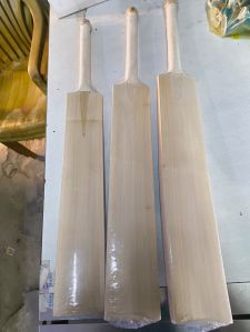 Cricket Bat