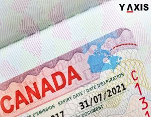 Canada Visa Advisor