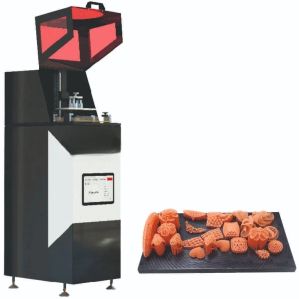 DLP 3D Printer