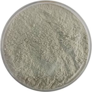 Gypsum Powder