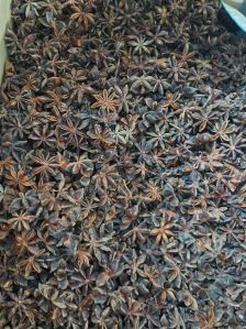 Star Anise