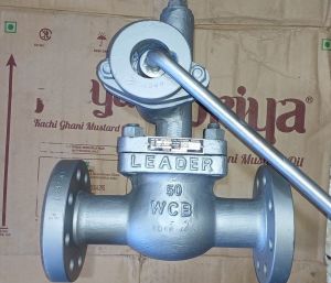 Leader WCB Gate Valve