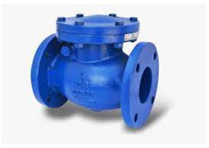 Swing Check Valve