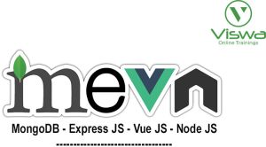 mevn certification online course