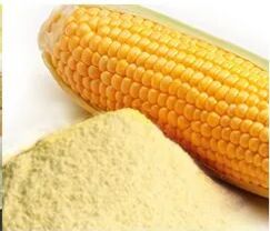 Spray Dried Corn Fat Powder