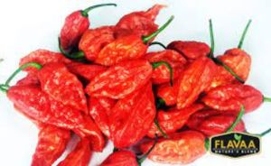 Bhut Jolokia Chilli