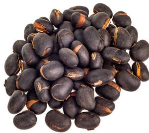 Black Kaunch Seeds