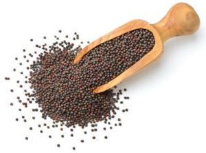 Brown Mustard Seeds