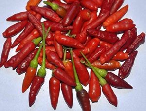 Dhani Kanthari Red Chilli