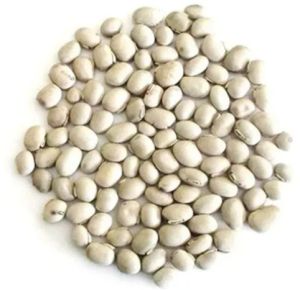 White Kaunch Seeds