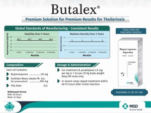 BUTALEX 1 X 20ML 10 1