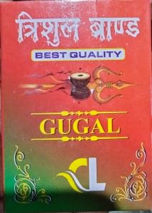 Trishul Guggal