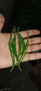 Green Chilli