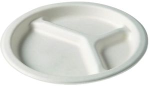 Bagasse plates