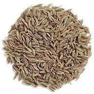 High Quality 100% Natural Seasoning Dry Spices Organic Cumin Seeds