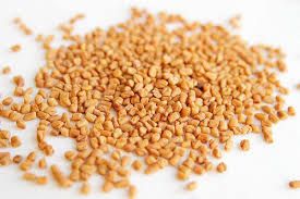 natural organic fenugreek seeds