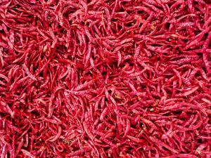 Dried Red Chili