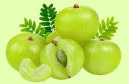 amla oil