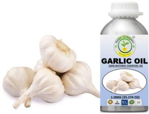 Garlic Oil