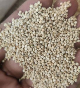 quinoa seed