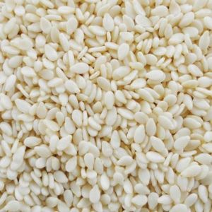 Natural White Sesame Seeds