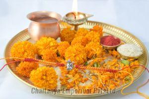 Divine Lord Hanuman Mountain in Hand Silver Rakhi