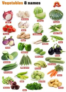 indian fresh vegetables